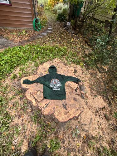  for S.H. Tree Service LLC in Hilton, NY