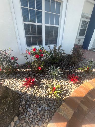 Landscape Design & Installation for Lawn Caring Guys in Cape Coral, FL