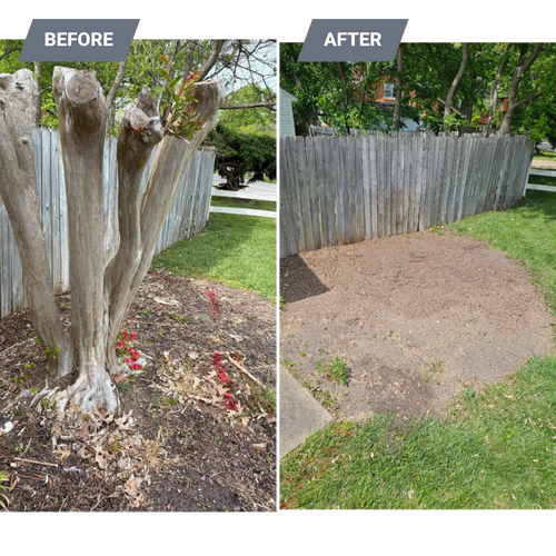 Stump Grinding for Anchor & Grind Stump in Chesapeake, VA