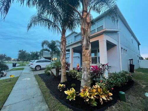 All Photos for Dandelion Landscaping in Clermont, FL