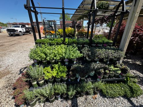 Gardening for Mayfield Landscaping in Staunton, IL