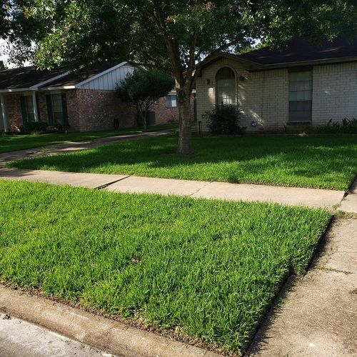 Fall and Spring Clean Up for T.W. Lawn Care in Pearland, TX