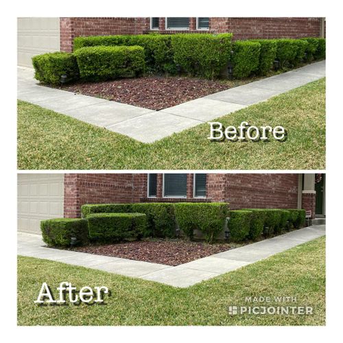 Shrub Trimming for CS LawnCare  in San Antonio,  TX