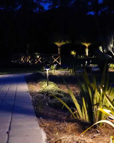 Landscape Lighting for Pro Designs Landscaping LLC in Jacksonville, FL