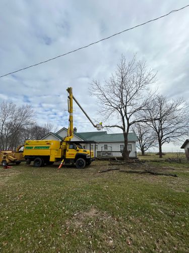 Tree Removal for SMITHs Tree Service in Columbus, IN
