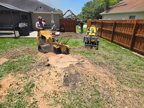 Stump Removal for Near Me Tree Service, Inc. in DeLand, FL