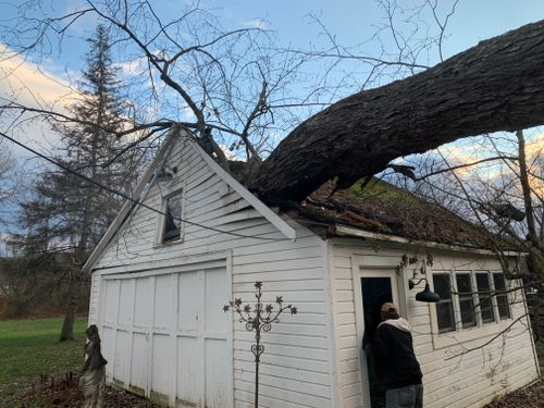 Tree Removal for Benjamin & Sons in Elmira, NY