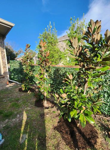 All Photos for Lavon Lawn Plus in Lavon, TX