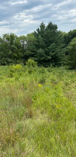  for Root Land Management in Watkins, MN