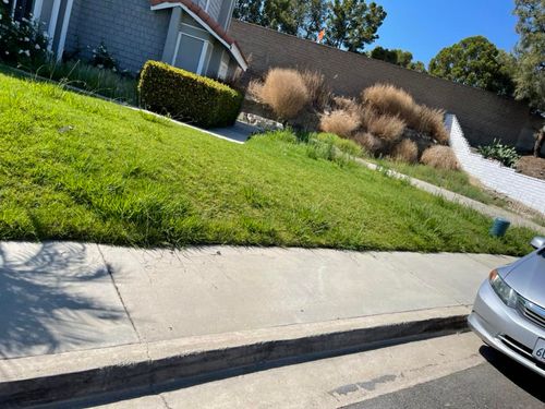 Commercial Property Maintenance for Benito's Gardening in San Juan Capistrano, CA