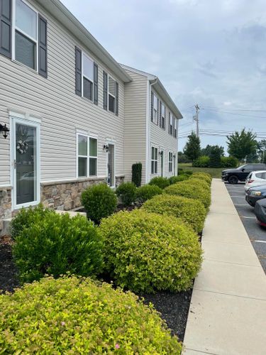 Shrub Trimming for J & T Landscaping Services in Mechanicsburg, PA