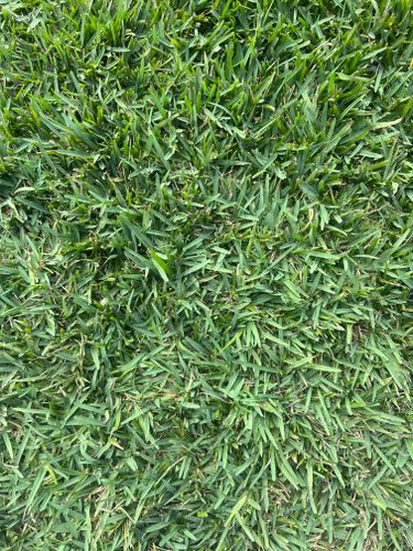  for C4 Ground Control in Oviedo, FL