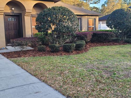 All Photos for Highlife Tree Care And Landscaping in Altamonte Springs, FL