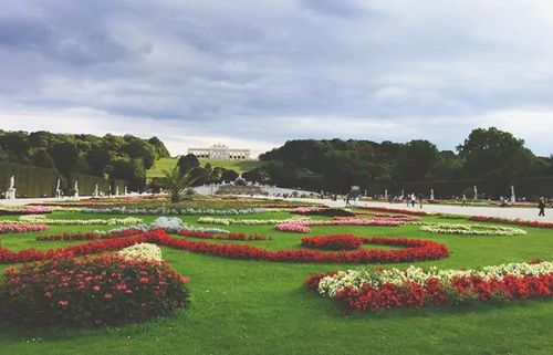 Gardening for Mayfield Landscaping in Staunton, IL