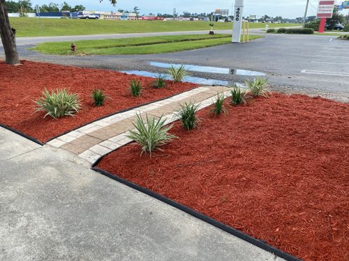 All Photos for New Creation Landscaping in Myrtle Beach, SC