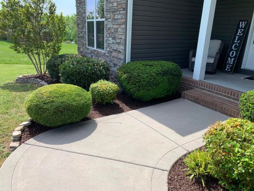 Triming for Fenix Lawn Care in Cookeville, TN