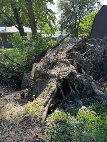 Stump Excavation for Dozier Stump Grinding in Augusta, GA