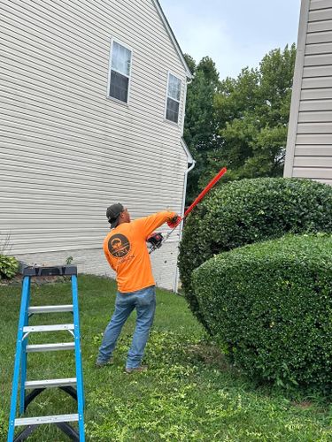  for Luna Landscaping and Construction in Parkville, MD