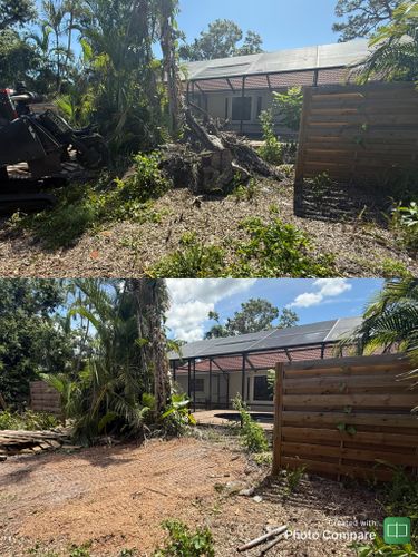 Stump Removal for Adam's Tree and Stump Care in Sarasota, FL