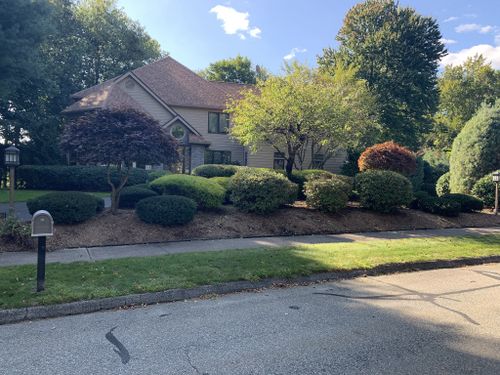 Shrub Trimming for B&L Management LLC in East Windsor, CT