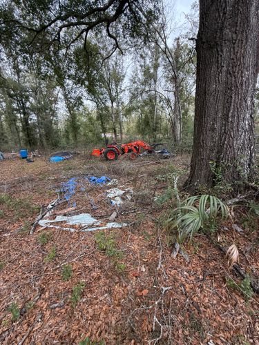 All Photos for Warners Tree Solutions in Live Oak, FL