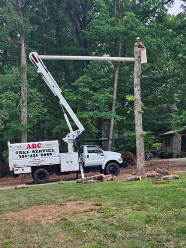 All Photos for ABC Tree Service in Dobson, NC