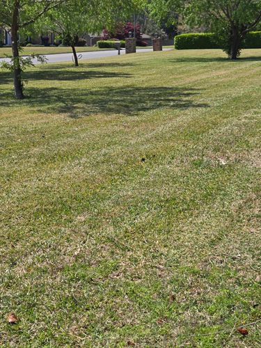 Lawn Care for Baker Property Management Solutions LLC in Pensacola, FL