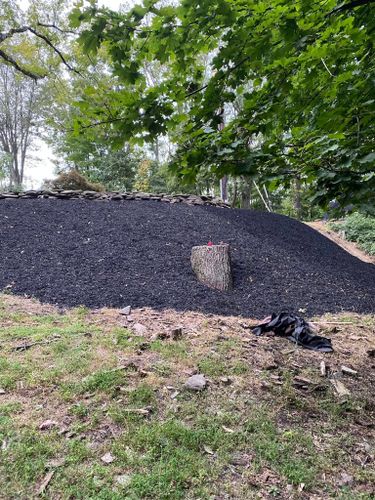  for Saul’s Landscaping Services in Williamsport, PA