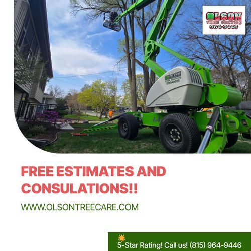 Tree Removal for Olson Tree Service, Inc in Rockford, IL
