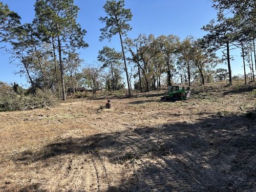 Excavation Services for Aztec Land Destroyers LLC in Ocala, FL