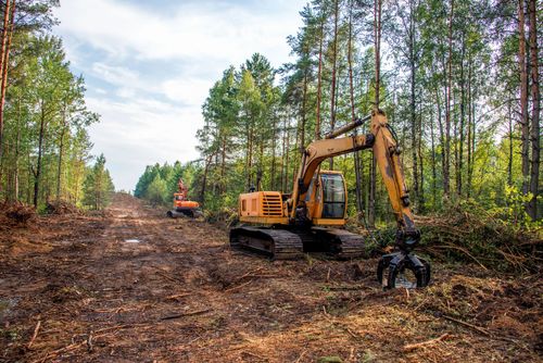 Land Clearing & Demolition for RICH Trucking in Union, KY