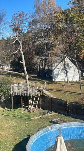 Tree Trimming for DIAZ TREE in Stafford, VA