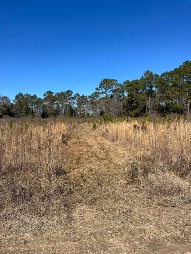All Photos for Thin Blue Line Ventures in Bonifay, FL