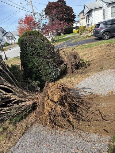  for Lucas Property Maintenance LLC in New Bedford, MA