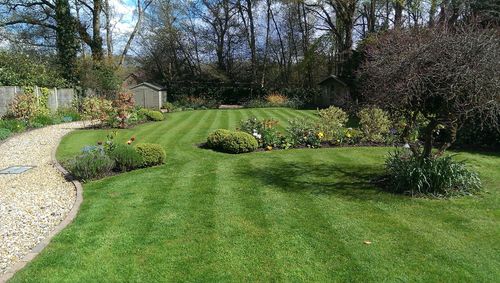 Mowing for Impressive Lawns 321 LLC in Titusville, FL