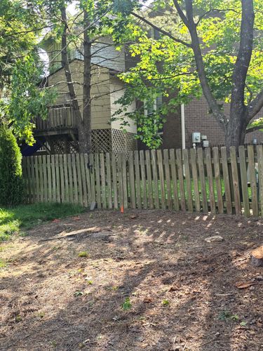  for Timber Ninja Service in Lexington, KY