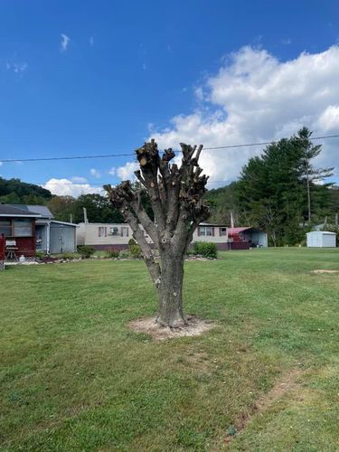 Fall and Spring Clean Up for Atwood’s Tree Care in Liberty,  KY