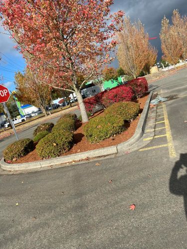  for Family Landscaping & Irrigation in Auburn, WA