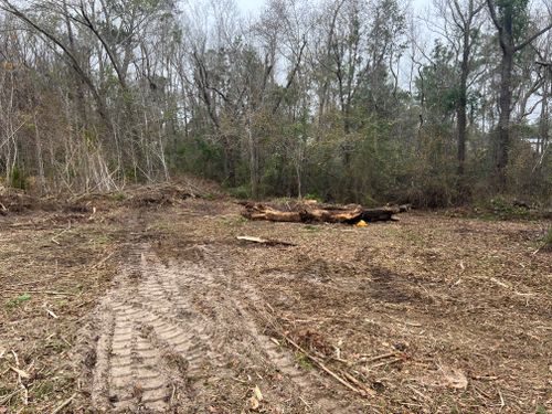 Land Clearing for Between The Hedges Landscape & Trucking LLC in Altha, FL