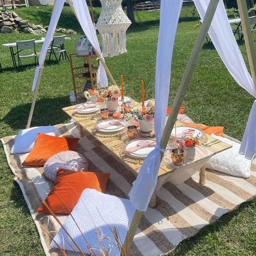 Group Luxury Picnic Packages for Pink Tree Picnic in Hartford, CT