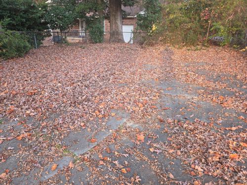  for Just Mow and Go Lawn Service, LLC in New Bern, NC