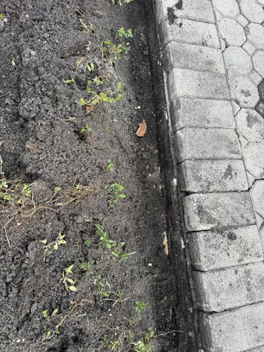 All Photos for ABS Designers LLC in Boca Raton, FL