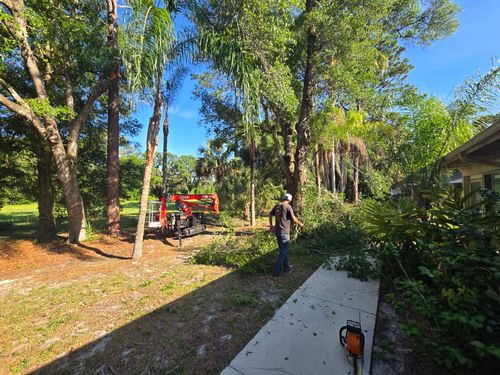 Underbrush Clearing for Near Me Tree Service, Inc. in DeLand, FL