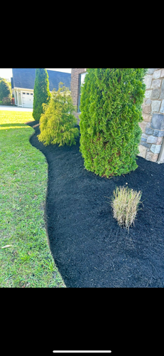 All Photos for New Creation Landscaping in Myrtle Beach, SC