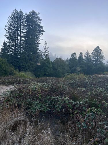  for J. Orozco & Sons Ent in Philo, CA