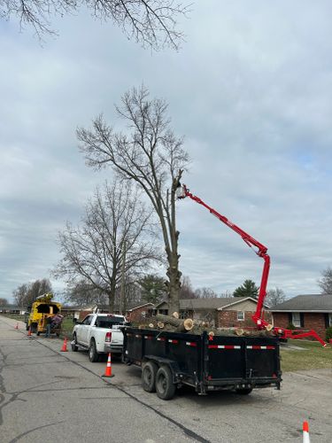 Tree Removal for SMITHs Tree Service in Columbus, IN