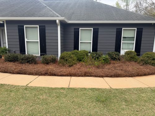 Pine Straw for Southern Outdoors Landscaping in Covington, GA