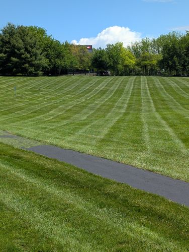 Property Maintenance for Ettere Landscape Services in Flemington, NJ