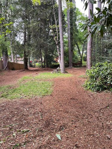 Satisfied customers Before and After for G&H Forestry Mulching and Land Services in Fayetteville, GA