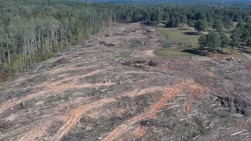  for Cedar Point Land Management in Richmond, VA